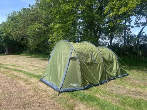 a green tent sitting in the grass in a field at Cranford Oak Farm Campsite in Barnstaple