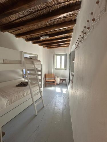 a bedroom with a bunk bed and a ladder at Marpissa - Traditional House in Márpissa