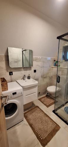 a bathroom with a washing machine and a sink at Apartment & Cottage - Tune in Ripci