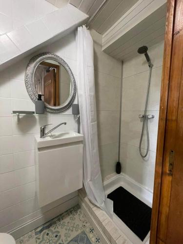 a bathroom with a shower and a sink and a mirror at Studio de charme in Breil-sur-Roya