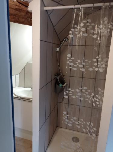 a shower with a shower head in a bathroom at Studio de charme in Lormes