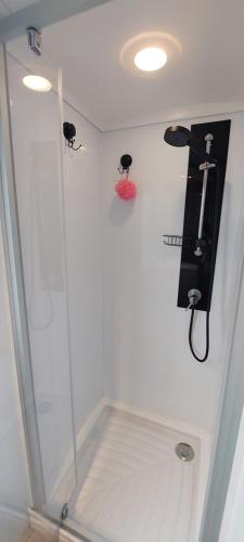 a shower stall with a glass door and a hair dryer at l' échappée belle in Mimizan-Plage