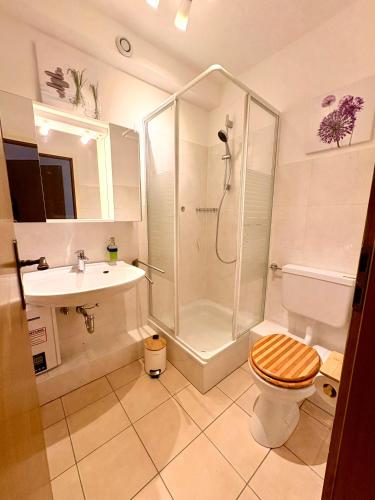 a bathroom with a shower and a toilet and a sink at Sorpesee Stay in Sundern