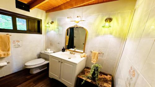 ein Badezimmer mit Waschbecken, Toilette und Spiegel in der Unterkunft El Oasis Hotel in Aguada