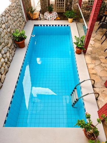 a swimming pool with blue tiles in a backyard at Hostel Goiabeiras com Piscina Próximo à Arena Pantanal in Cuiabá