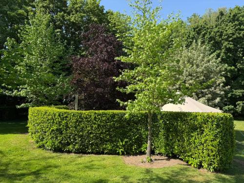 Gallery image of Boutique Hotel room in the wild in Kersall