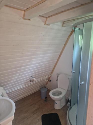 ein Badezimmer mit Toilette und Waschbecken in der Unterkunft Haiduk Aframe in Brebu