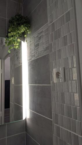 a bathroom with a mirror and a plant on the wall at L'Atelier du Quai in Mâcon