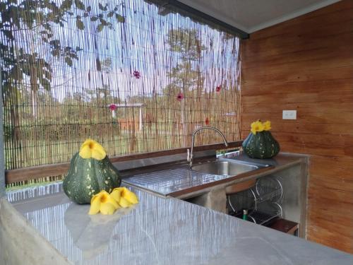 a kitchen with a sink and two vases on a counter at El Carao in Talamanca