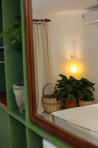 a mirror with two plants and a shower curtain at Pousada Barra Velha in Maragogi