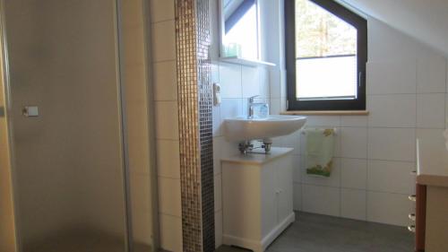 ein Bad mit einem Waschbecken und einer Dusche mit einem Fenster in der Unterkunft Ferienwohnungen Rico Eglin in Struppen