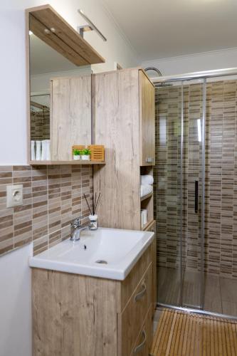 a bathroom with a sink and a shower at Casa SEMA in Sinaia