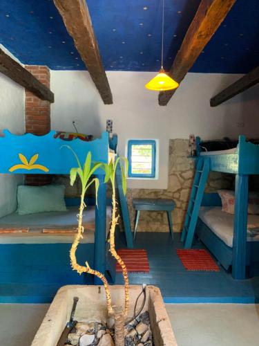 a room with blue ceilings and a plant in a pot at Dalmatian rustic house in Petrcane