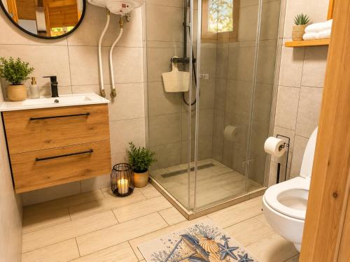 a bathroom with a shower and a toilet and a sink at Domki Nad Morzem Sobiescy in Stegna