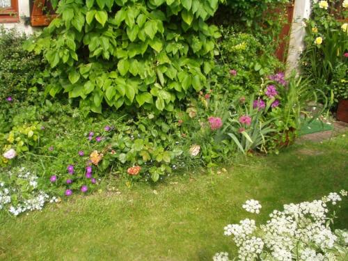 a garden with a bunch of flowers at Gîte de La Galaisière in Préaux