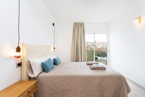 a bedroom with a bed with blue pillows and a window at Eden Rentals Oasis Boho 1 in Las Galletas