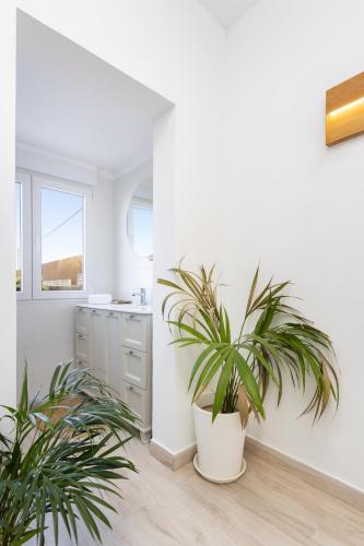 a kitchen with white walls and two potted plants at Eden Rentals Oasis Boho 1 in Las Galletas