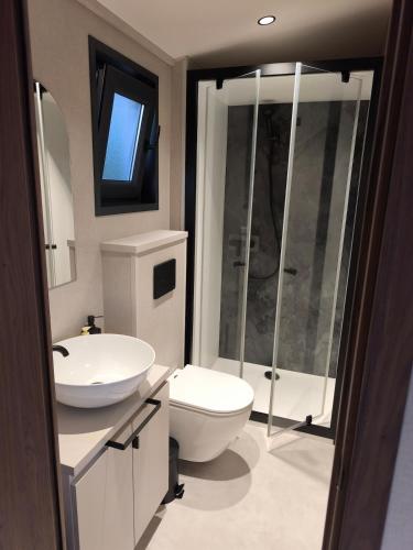 a bathroom with a toilet and a sink and a shower at Tiny House ALPEA in Fillinges