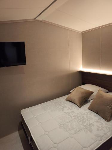 a bedroom with a bed with two pillows and a television at Tiny House ALPEA in Fillinges