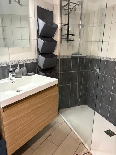 a bathroom with a sink and a shower at Appartement T2 de 30m2, Grande Terrasse, Résidence Soleil Marin in Collioure