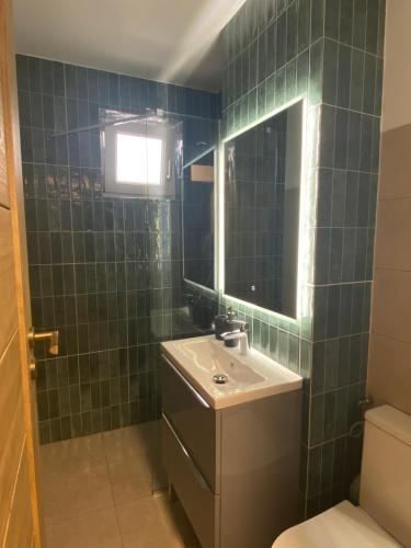 a bathroom with a sink and a mirror and a toilet at Apartament 29 in Orăştie