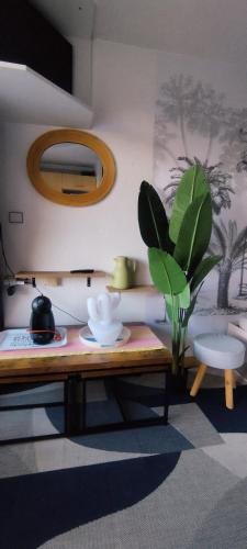 Superbe studio cabine, Cap d'Agde