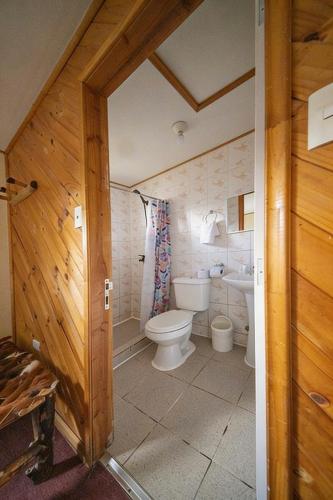 a bathroom with a toilet and a sink at Apart Hotel y Cabañas Valle Exploradores in Puerto Tranquilo