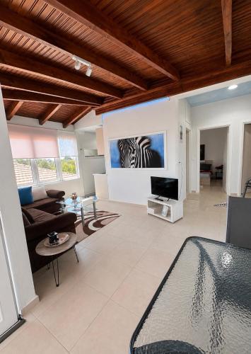 Sofia's House