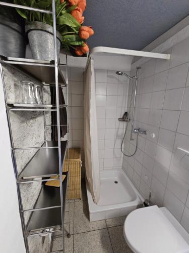 a bathroom with a toilet and a shower and a sink at Fienile in Avegno