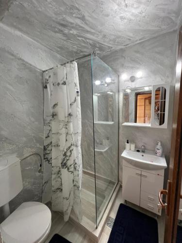 a bathroom with a shower and a toilet and a sink at La samba in Crisan