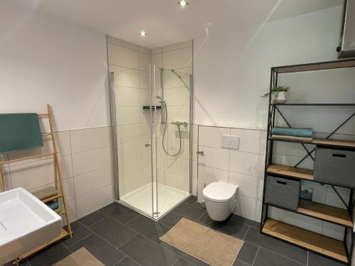 a bathroom with a shower and a toilet and a sink at Apart Alma in Pfunds