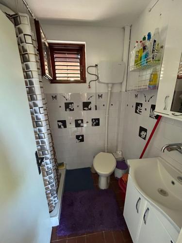 a small bathroom with a toilet and a sink at Tri Cveta in Popadić