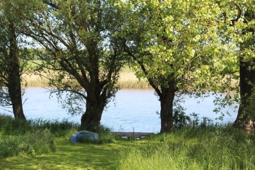 a group of trees in front of a body of water at Reetdachhaus direkt am Wasser in Breiholz