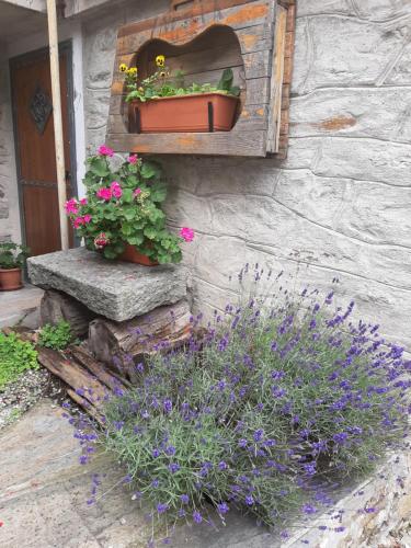 a wall with a window with flowers and plants at Sotto il Cielo, Balcone panoramico sul borgo di Ingria in Ingria