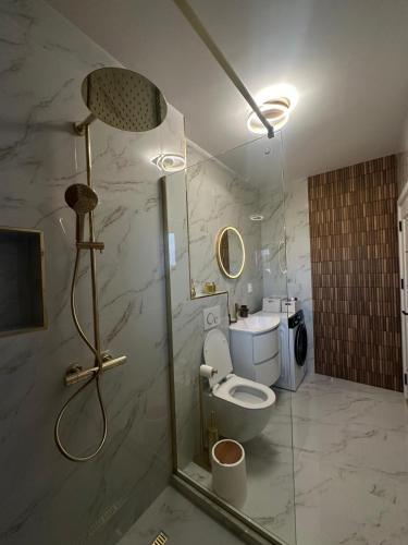 a bathroom with a shower and a toilet in it at Luxury Vibes in Şelimbăr