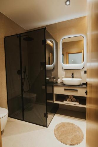 ein Badezimmer mit Dusche, Waschbecken und Spiegel in der Unterkunft Home Libre in Bosanska Krupa