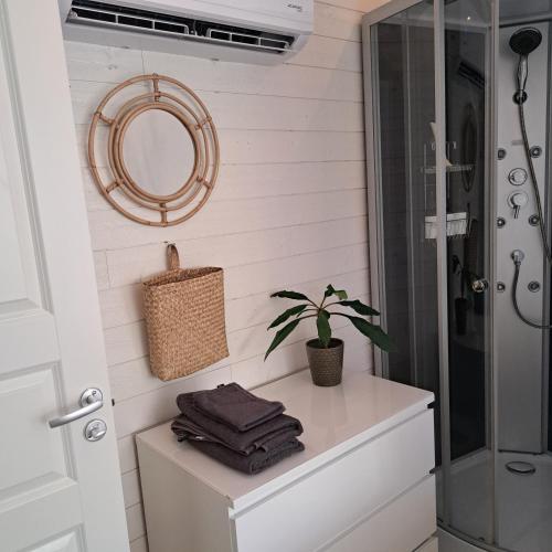 a bathroom with a mirror and a plant on a counter at Gästhus öppen planlösning in Oskarshamn