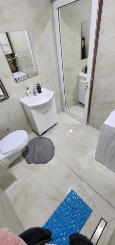 a bathroom with a toilet and a sink and a mirror at mala Atina in Petrovaradin