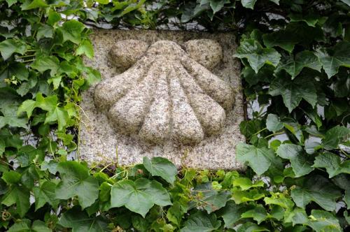Φωτογραφία από το άλμπουμ του Casa do Torno σε Noya