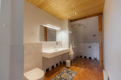 a bathroom with a sink and a toilet and a mirror at Vasekoja Holiday Complex in Möldri