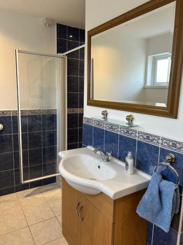 a bathroom with a sink and a shower and a mirror at Rose Cottage in Portadown