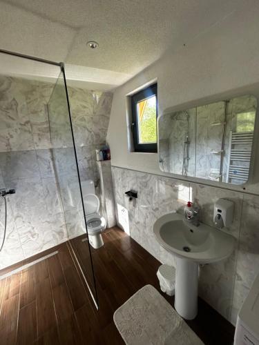 a bathroom with a shower and a sink and a toilet at Vikendica Mia in Šipovo