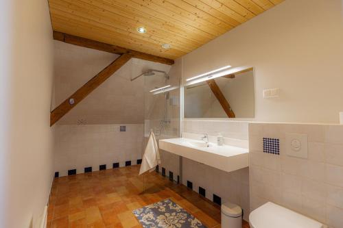 a bathroom with a sink and a mirror at Vasekoja Historical House near Setomaa in Möldri