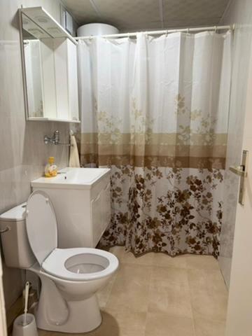 a bathroom with a toilet and a shower curtain at Angel's Residence in Veles