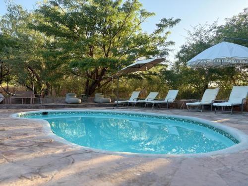 a small swimming pool with chairs and an umbrella at Hotel Tulor in San Pedro de Atacama