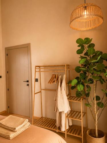 a bedroom with a bed and a potted plant at Cabana Crang in Dobra