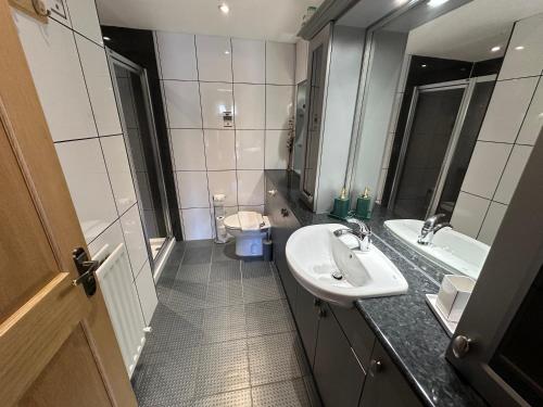 a bathroom with a sink and a toilet at Eagle Cottage in Penrith