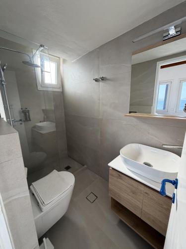 a bathroom with a sink and a toilet and a mirror at The Aegean Horizon Villa in Grótta