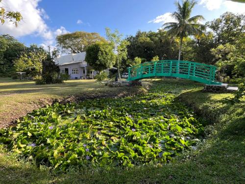 a green bridge over a field of plants at Waterlily House in HUH