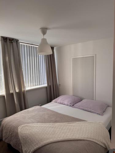 a bedroom with two beds with purple pillows and a window at Smile home 2, Zaanse schans and Amsterdam Appartements in Wormerveer